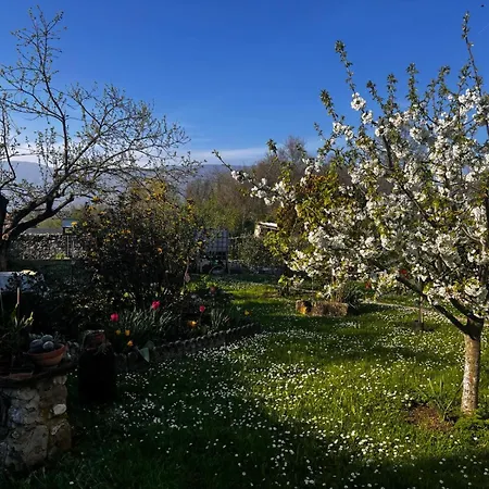 Davor La Glesia Daire Solimbergo