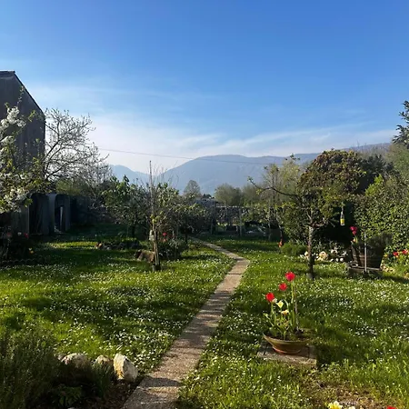 Daire Davor La Glesia *