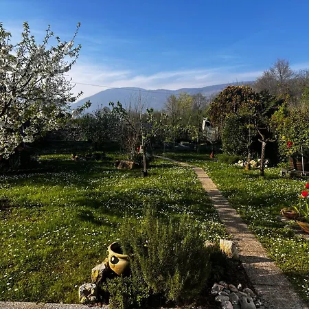 Daire Davor La Glesia